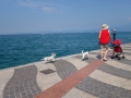 Lazise